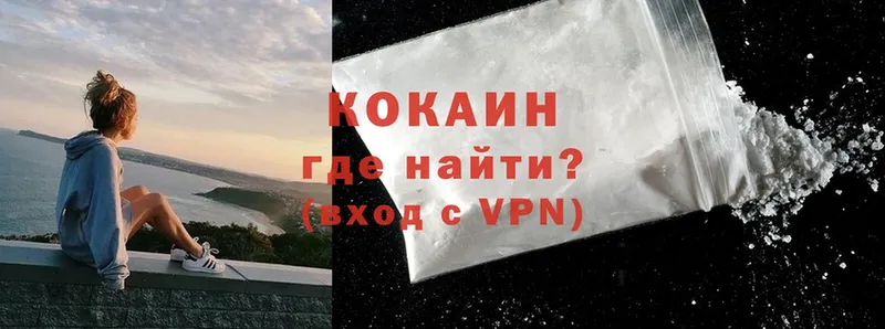 дарк нет наркотические препараты  Гремячинск  Cocaine Fish Scale  купить  